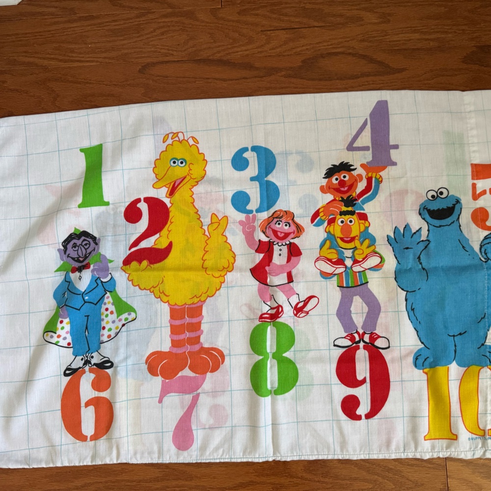 Vintage Sesame Street Character Pillowcase